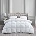 LUXURIOUS Twin / Twin XL Size Siberian Goose Down Comforter All-Season Duvet Insert, Premium Baffle Box, 1200 Thread Count 100% Egyptian Cotton, 750+ Fill Power, 50 oz, White Damask Stripe