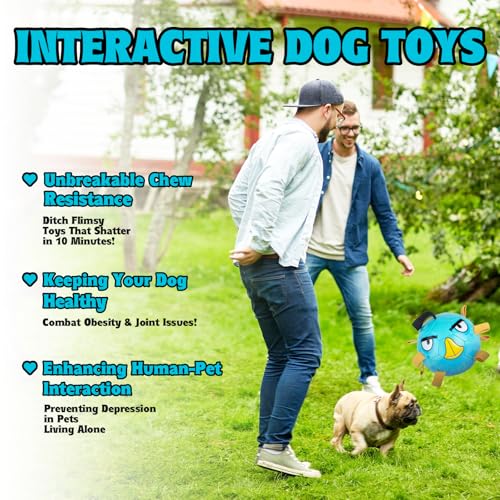 PP PICADOR Dog Toys Soccer Ball, Interactive Dog Balls Puppy Birthday Gifts, Durable Herding Balls for Small Medium Dogs Toy Tug of War(8inch)