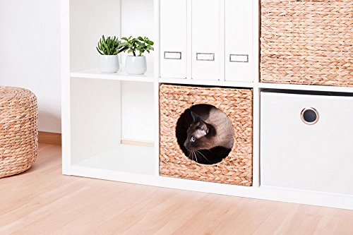 Kallax Expedit Katzenkorb 33 x 33 x 33 cm Natur Korb aus Wasserhyazinthe Tierkorb Tierhöhle Katzenhöhle Katzenbox Flechtkorb klappbar und sehr stabil ideal für kleine Hunde und Katzen
