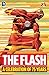 The Flash: A Celebration of 75 Years (The Flash (1959-1985))