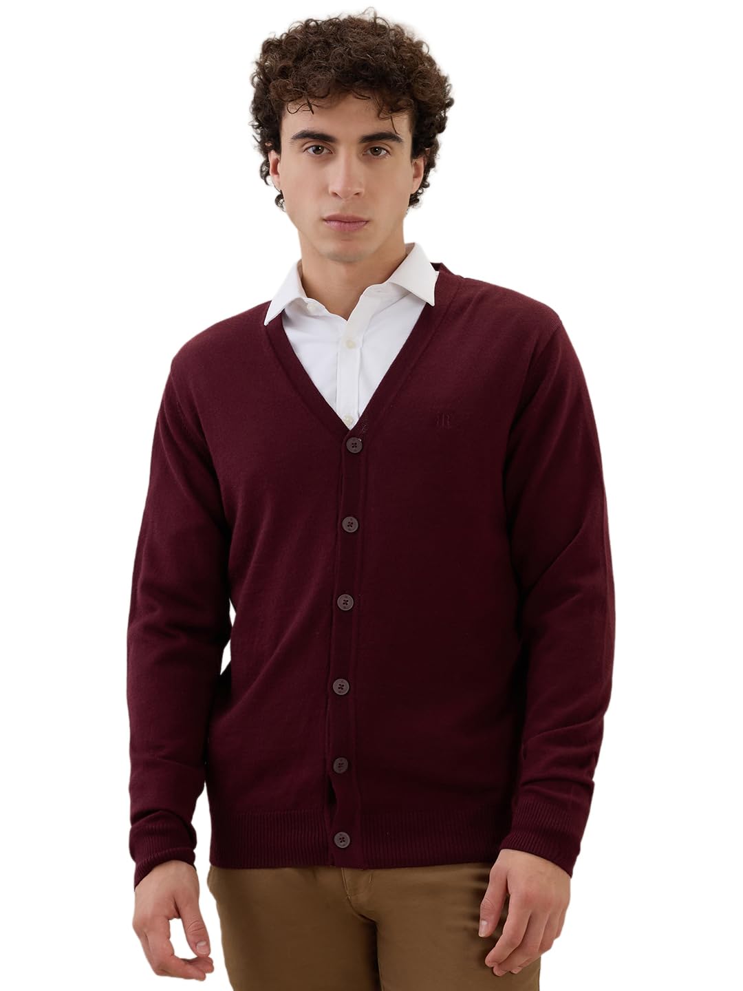 raymond Men Regular Fit Solid Pattern Merino Wool Acrylic Blend Full Sleeve V Neck Casual Winter Wear Brown-picture-27