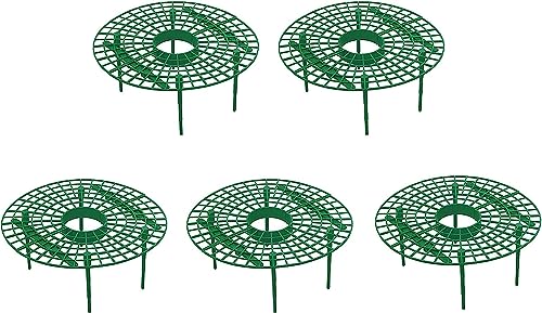 イチゴ棚 支柱 イチゴ苗 棚 ストロベリーサポートイチゴ サポート いちごスタンド 5個セット園芸用簡単支柱 支柱サポートセット 折り畳み