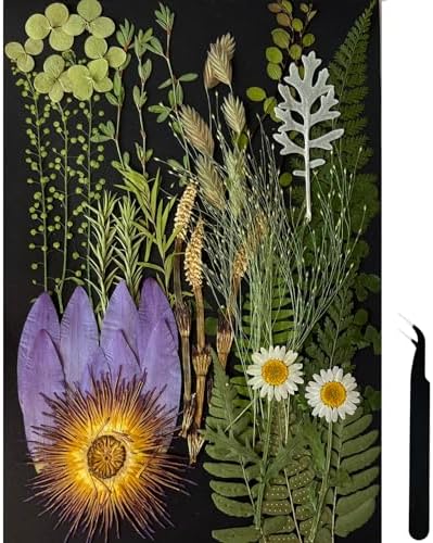 84 Pcs Dried Pressed Leaves Flowers Real Natural Dried Leaves Plant Kit Assorted
