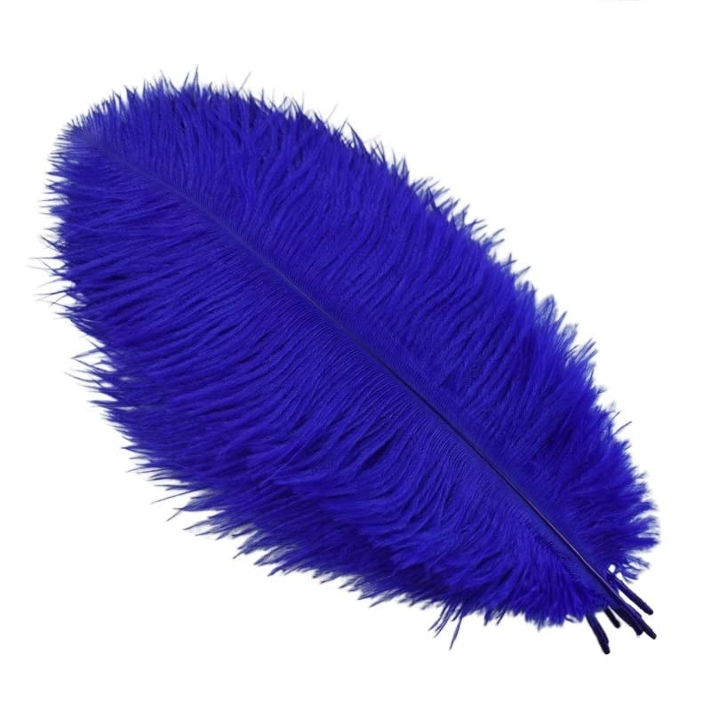 Plumes d'autruche pour crafts de 30-35cm, accessoires d'artisanat et déco fête Halloween