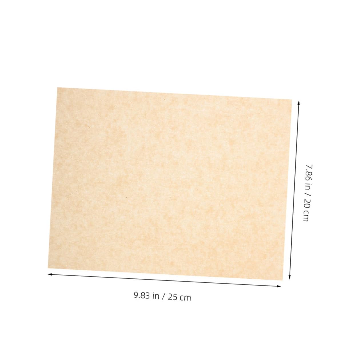 Ciieeo 500pezzi Carta Da Forno Per Alimenti Fogli Di Carta Da Forno Antiaderente Per Fritture Pizza e Snack Assorbente Per Olio Per Barbecue e Lavorazione Dolci