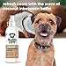 Buddycare Desodorierungsspray für Hunde – Kokosnuss – Süßes und pflegendes Desodorierungsspray für Hunde – Mit Aloe Vera und Pro Vitamin B5 (200 ml, 1 Stück)