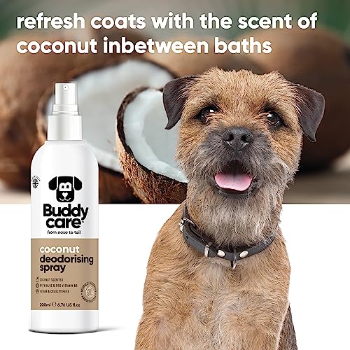 Buddycare Desodorierungsspray für Hunde – Kokosnuss – Süßes und pflegendes Desodorierungsspray für Hunde – Mit Aloe Vera und Pro Vitamin B5 (200 ml, 1 Stück)