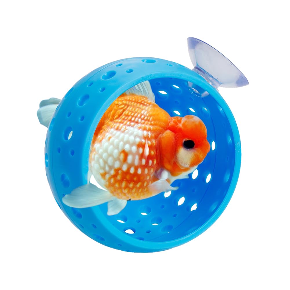 Derkerry Aquarium Betta Fish Hideout - Fish Tank Tunnel with Suction Cup Shrimp Cave Aquarium Decor Fish Tank Accessories for Small Fish Shrimp - Blue