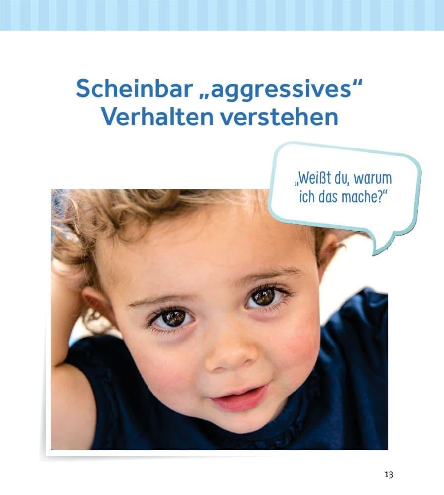 Hauen, schubsen, beißen – herausforderndes Verhalten von Kleinkindern in der Krippe begleiten: Praxisbuch für Erzieher: Zielführendes Handeln im Umgang mit Konfliktsituationen bei Kindern von 0-3