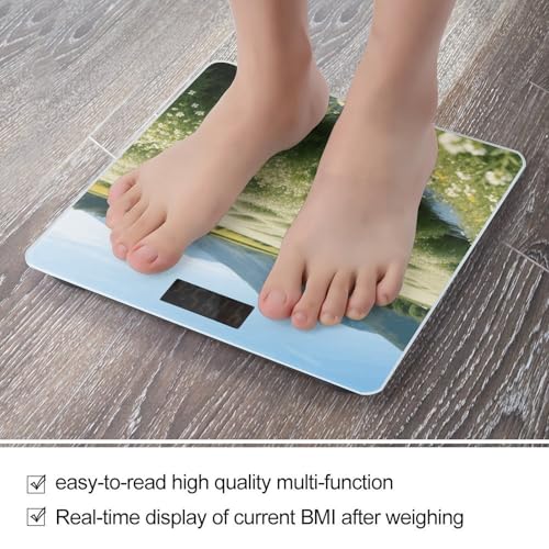 Báscula Digital de Baño VstaDank con Pantalla LCD y Vidrio Templado miniatura 5