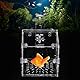 Dioche Anemone Box Fisch Züchter Isolierung Acryl Transparent Fischbecken Zucht Isolation Zucht Tanks Box Aquarium Brut Inkubator Halter (A) (10CM*10CM*10CM)