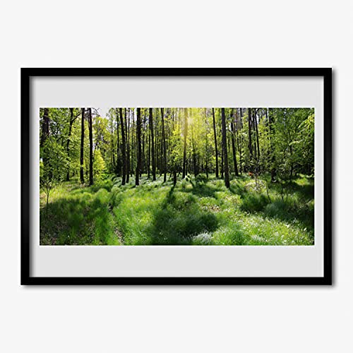 Affiche avec cadre image forêt encadrement MDF robuste Tulup 70x50