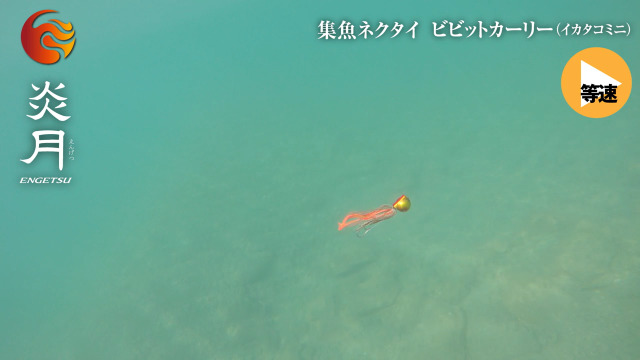 Amazon.co.jp: Shimano 001 Flame Moon Fish Tie Vivid Curly