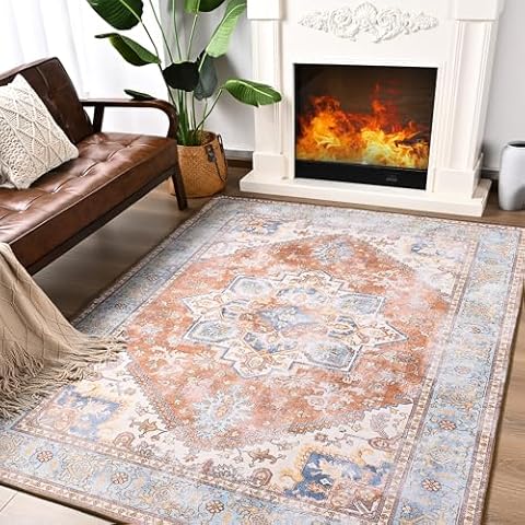 ST. BRIDGE Soft Area Rug 4x6, Washable Vintage Rug for Bedroom Living Room,Non Slip Nursery Modern Indoor Fuzzy Floor Carpet Cover