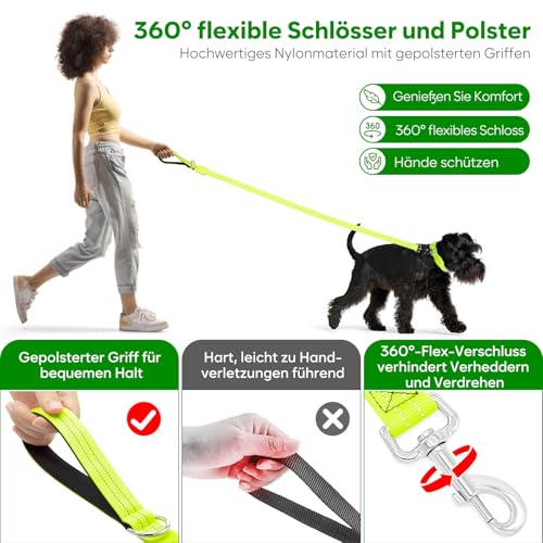 ChalkLit LED Hundeleine, Beleuchtete Hundeleine über USB Wiederaufladbar, 1,2 m, Weich Wasserdicht Reflektierend, für nächtliche Spaziergänge für große, mittelgroße Haustiere blinkende