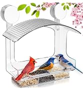 Woodpecker Tail Prop Suet Feeder, Blue, Hanging Outside