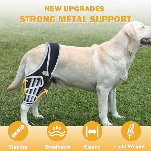 Image of Dog Knee Brace for Torn ACL Hind Leg, Adjustable Dog ACL Braces Rear Leg or Front Legs with Cruciate Ligament Injuries, M