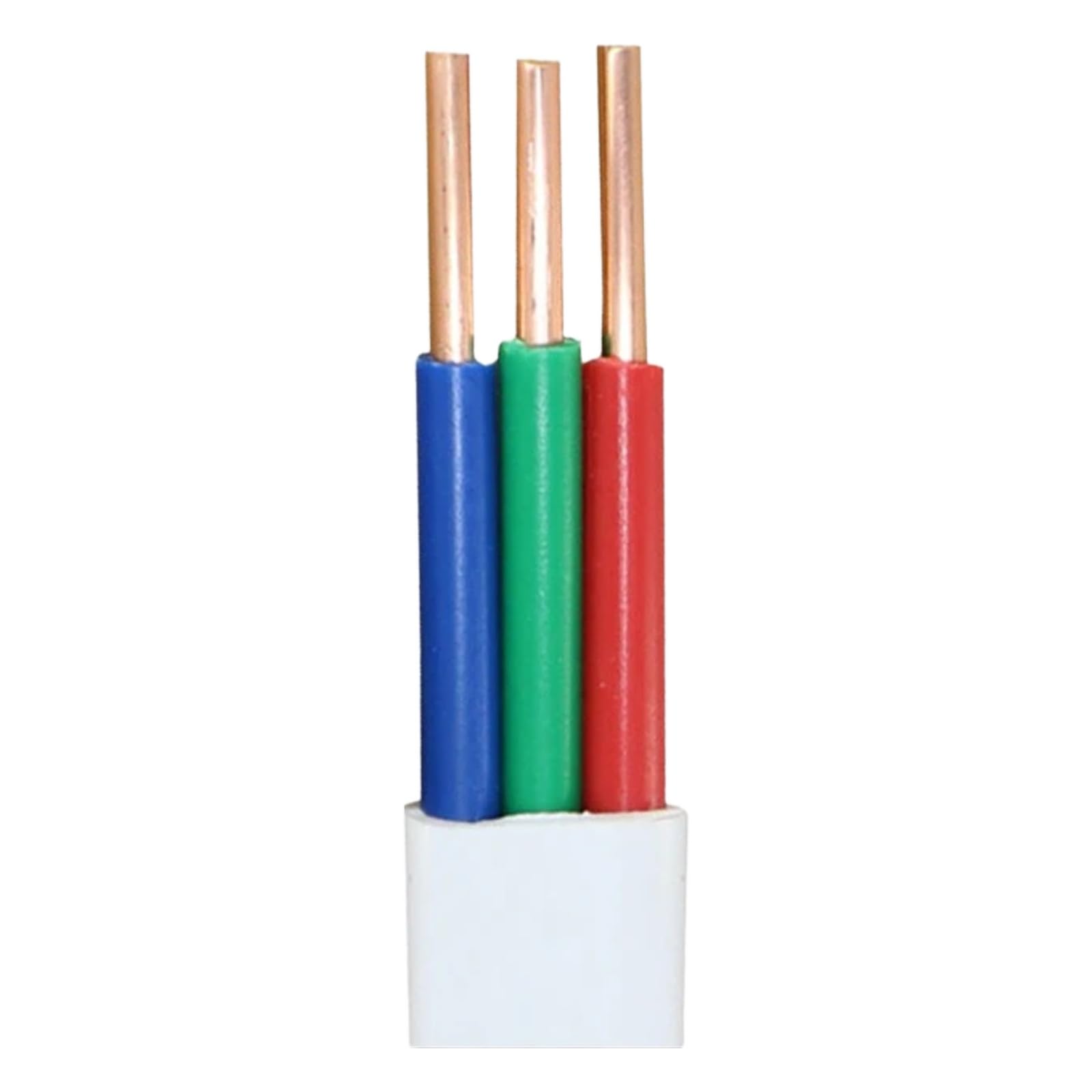 2 Cavi con gabbia di rame solido 3(8m; 14 AWG)