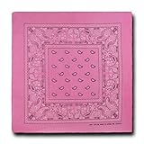 Kaiser Collection Double Sided Paisley Bandanas (1 Dozen), Pink, 22x22