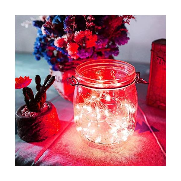 Anjaylia led fairy lights battery operated string lights christmas lights - image 7