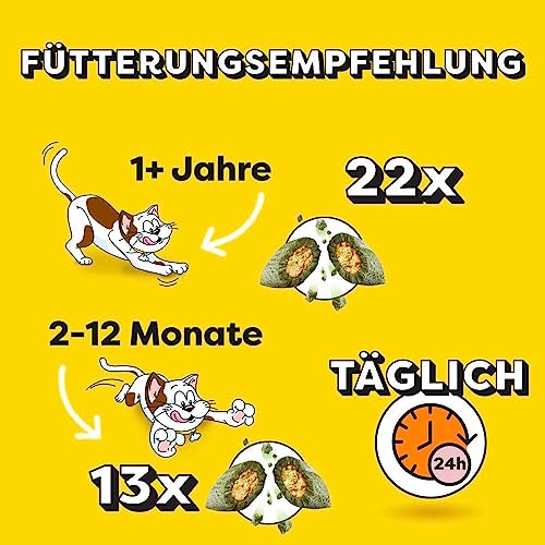 DREAMIES SHAKE UPS Multivitamins Geflügel Picknick, Katzenleckerlis im Portionsbeutel - 55g (6 Beutel) – Bild 5