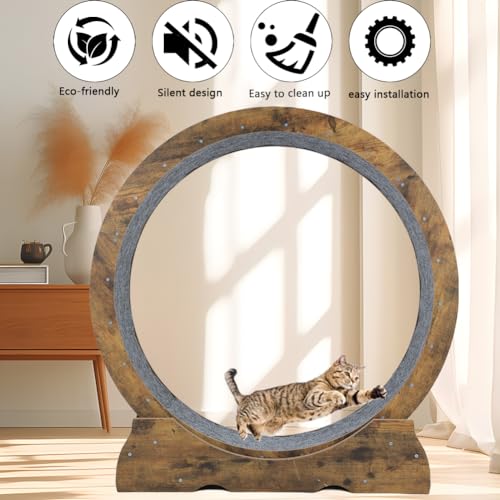 Laddawan Roda de exercícios para gatos em ambientes internos – Roda de corrida grande para animais p