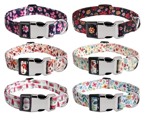 YLrank Personalisierte Hundehalsband, mit Eingraviertem Namen und Telefonnummer – Weich & Komfort Hunde Halsband für Kleine Mittlere Große Hunde Welpen Katzen