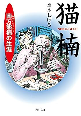 猫楠のキービジュアル
