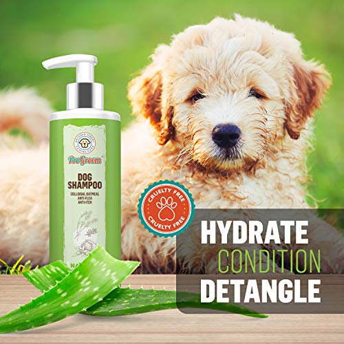 progroom dog shampoo