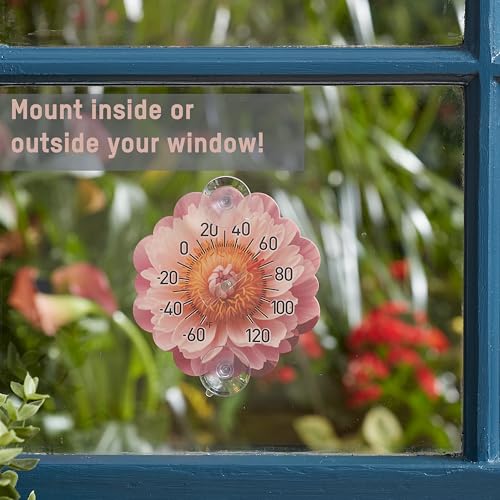 Image of Taylor Peony Dial Thermometer, 4-Inch Indoor Outdoor Silicone Suction Cup Thermometer, Weather-Resistant Temperature Gauge for Patio, Pool, Garden, or Garage, Pink