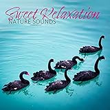 Beautiful Piano Lullaby