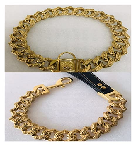Collier Chien Pitbull Solide : Avis Complet sur la Chaîne Dorée Collier Chien Pitbull Solide : Avis Complet sur la Chaîne Dorée