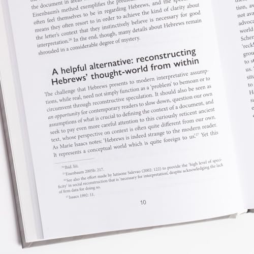 Impossible to Be Restored?: Temptation and Warning in the Epistle of Hebrews (New Studies in Biblical Theology) - image 9