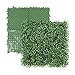 NatraHedge Artificial Boxwood Hedge Mat 20"x 20" Panels (12 Pack)