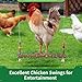 2-Piece Wooden Chicken Swing Set, Bird Perches with Bells and Beads, Hanging Toys for Parrots, Hens, and Chickens