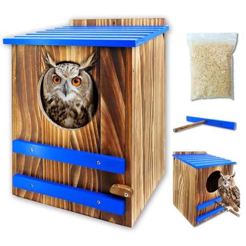 Screech Owl House for Outdoors 10x10x15 Large Carbonized Wood Barred Owl Nesting Box Weather-Resistant Bird House with Blue Roof Ventilation & Replaceable Perch Garden Wildlife Habitat Gift
