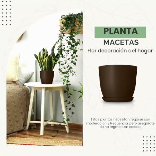 Miniatura 4 de Utopia Home Paquete De 10 Macetas 18 17 15 13 12 Cm Maceta Con Platillo Para La Cocina, Balcón, Plantas De Jardín, Macetas De Vivero De Interior Marrón.