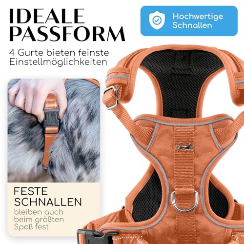 FREUDENTIER Hundegeschirr mit Mesh-Polsterung - Höchster Komfort, bombenfester Sitz & maximale Sicherheit - Anti-Zug-Frontring - Brustgeschirr für große, mittelgroße und kleine Hunde (Orange, S)