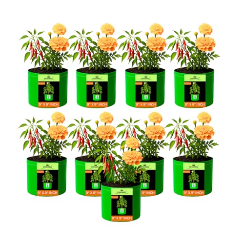 Image of Kingwell grow bags 9x9 inches pack of 9 Grow Bag For Terrace Garden Leafy Vegetable Plant Grow Bags Fruits Growing Containers For terrace Gardening