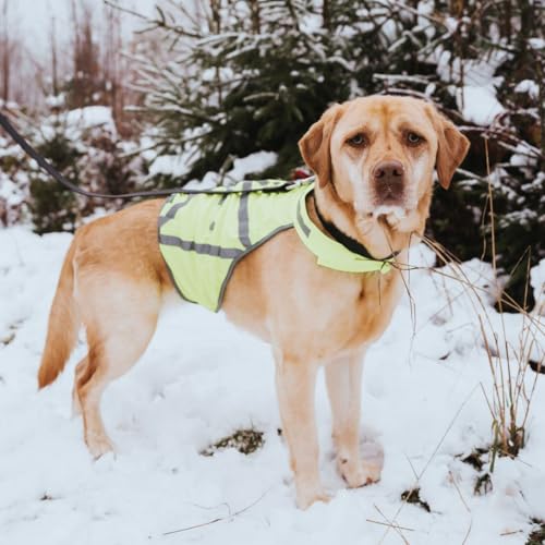 HUNTER Warnweste für Hunde, vielseitig einstzbar, höhere Sichtbarkeit, stufenlos verstellbar, wasser- und schmutzabweisend, waschbar, Größe: L