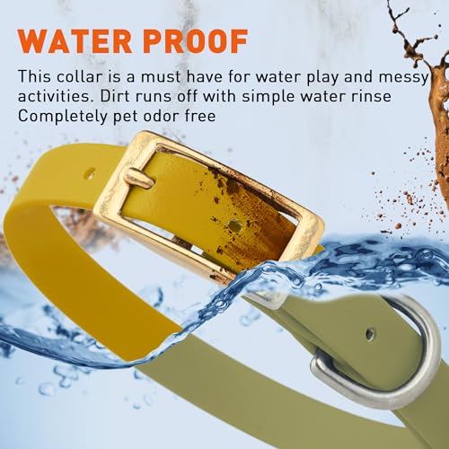 Image of Viper Biothane Heavy Duty Waterproof Dog Collar Strong Coated Nylon Webbing w /Solid Brass Hardware Odor-Proof Easy to Clean High Performance Fits Small Medium or Large Dogs, Treasure Gold