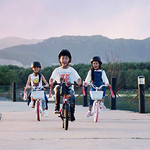 Segway Ninebot Kid’s Bike For Boys And Girls, 14 Inch With Training Wheels, Pink #TOP7