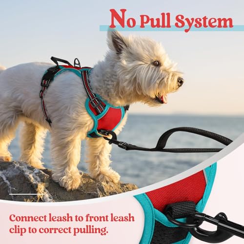 Image of rabbitgoo Dog Harness No Pull with 2 Leash Clips, Adjustable Soft Padded, Reflective Oxford No Choke Pet Vest with Easy Control Handle for Puppy, Red & Teal, XS