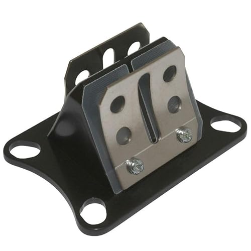 cyclingcolors Valve Motorcycle Scooter Moped Compatible with Minarelli AM6 Derbi Senda GPR MBK X Power Yamaha TZR Peugeot XPS Rieju RS1 Smx Gilera Smt Rcr Aprilia RS Generic Trigger
