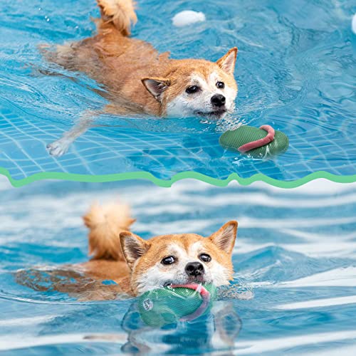 Lepawit Squeaky Dog Toys, Floating Dog Toys For Water Or Pool, Slippers Dog Gifts For Small And Medium Dogs #TOP1