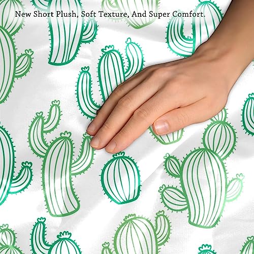 Housses de coussin décoratives de qualité supérieure 40,6 cm pour lit et canapé - 4