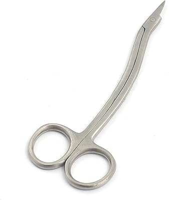 PRECISE CANADA: Dental Gum Scissors Heath 6.25
