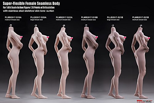 Phicen 1/6 Muscular Female Seamless Body Super Flexible Figure Plmb2017-S23B #TOP7