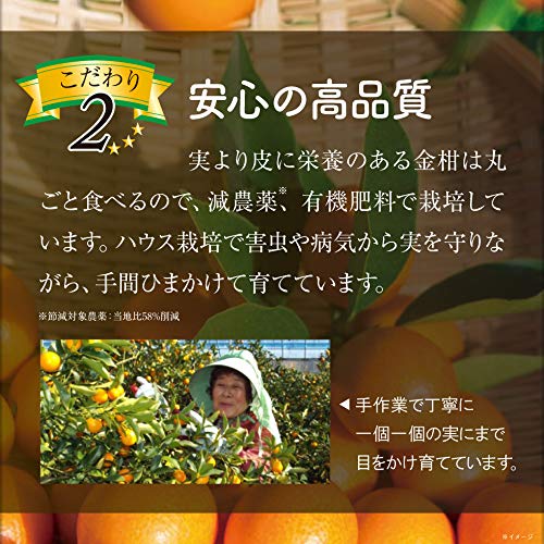 Japanese Kinkan Jam 180g, Sweet Golden Kumquat Jam with Pulp by Seikiba Orchard, Gourmet Sweets & Specialties from Kagoshima Prefecture, Japan - Limited Stock (1)