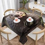 WZYWHJ Nappe décorative carrée Happy Pangolin Printing 152,4 x 152,4 cm. Matériau du produit : 100 % fibre de polyester. Fabriquée en tissu hydrofuge de haute qualité, chaud et doux au toucher, bonne résistance aux plis, lavable et réutilisable